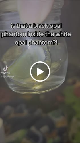 Customer video review of 9.6g Rough Specimen