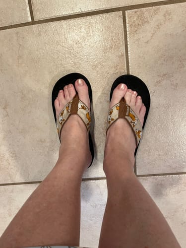 Customer photo review of Corgis