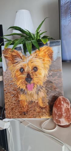 Customer photo review of Custom Paint By Numbers Kit