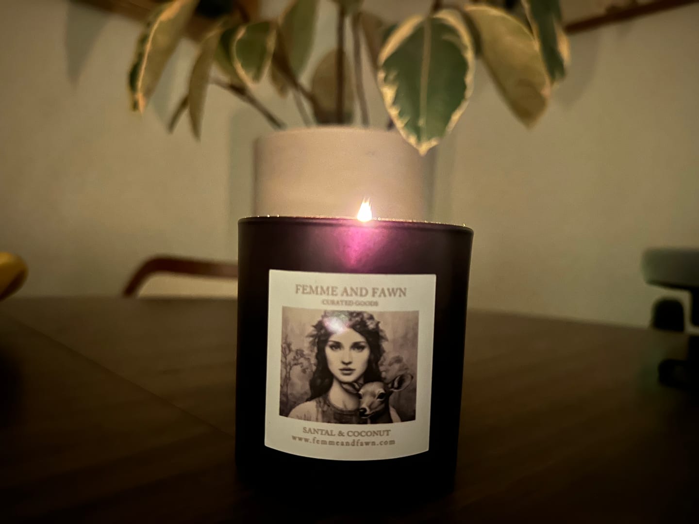 Customer photo review of Santal & Coconut non-toxic candle by Femme & Fawn
