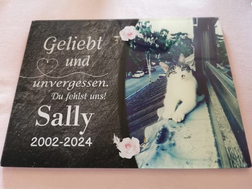 Customer photo review of Katzen Gedenktafel mit Foto & Spruch (UV- & Wetterfest)