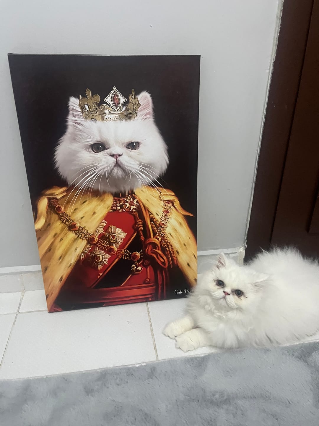 Customer photo review of The King of the Seven Kingdoms