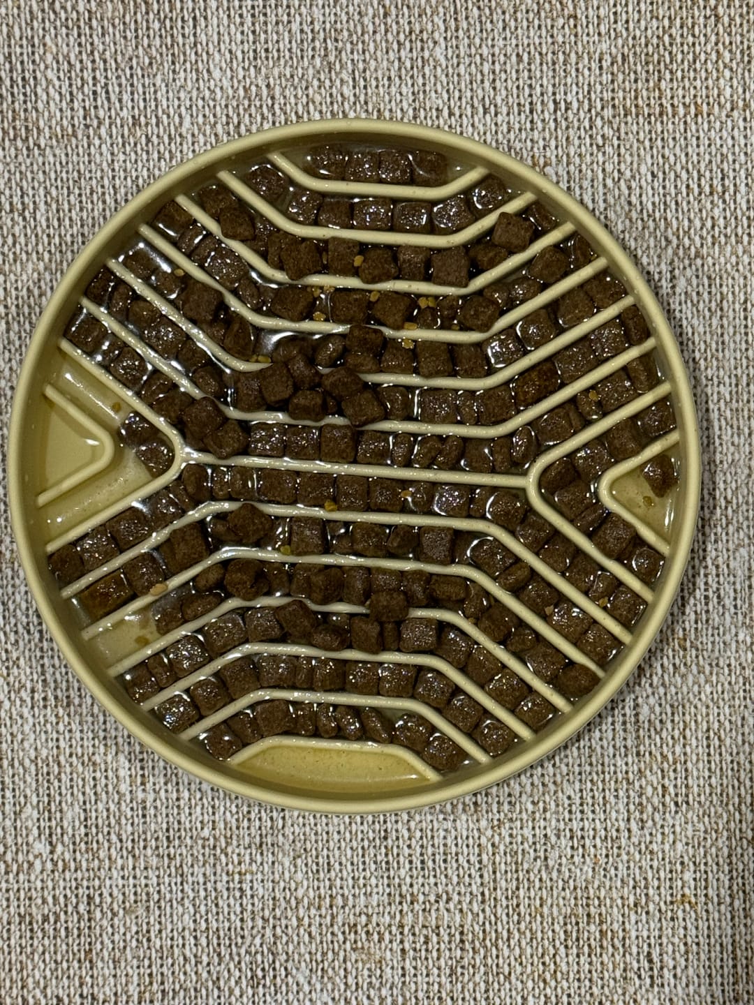 Customer photo review of Geometric Slow Feeder