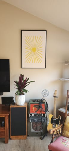 Customer photo review of The Sun