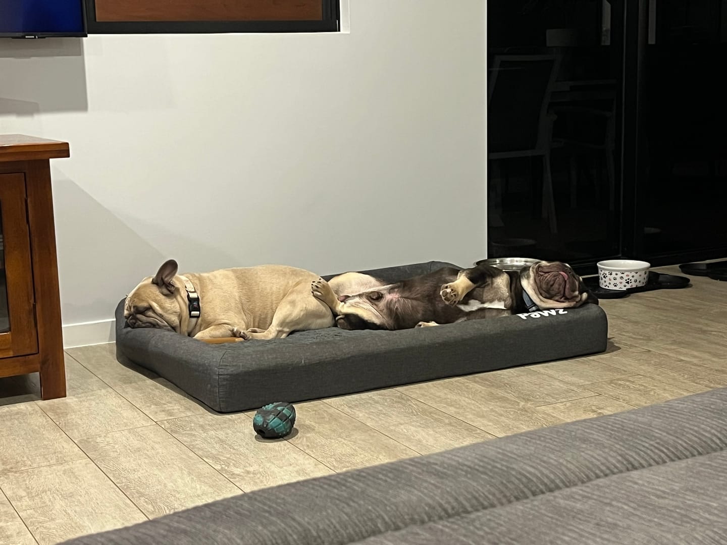 Customer photo review of PaWz Premium Memory Foam Calming Dog Bed