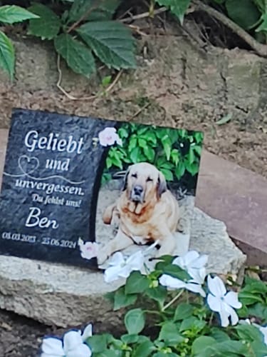 Customer photo review of Hunde Gedenkglas mit Foto (Spezialdruck hinter Acrylglas) 15x20 cm