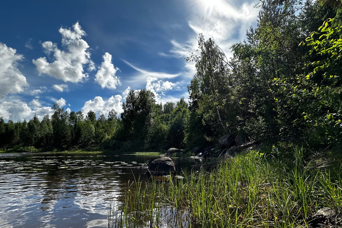 Customer photo review of NATURE AI-OPTIMIZED LIGHTROOM PRESETS