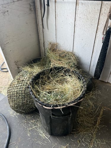 Customer photo review of Hay Chix® Quarter Bale Net