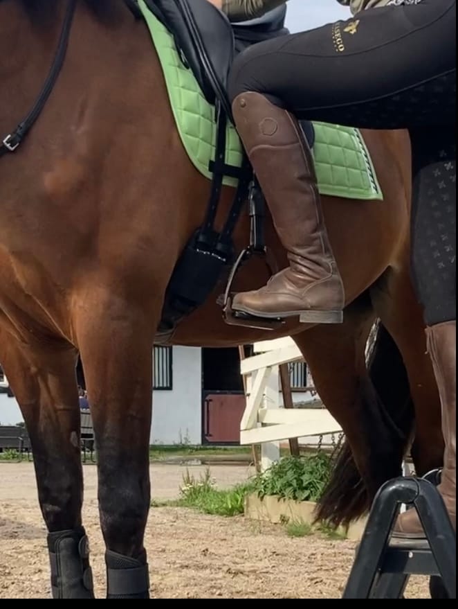 Customer photo review of Masego Riding Tights