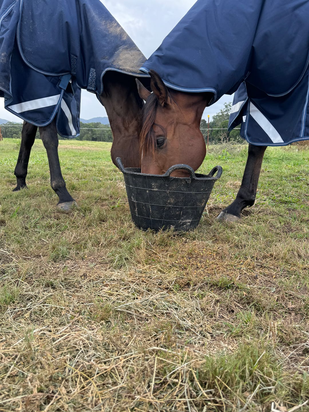 Customer photo review of LE Boxter Turnout Ripstop 200g