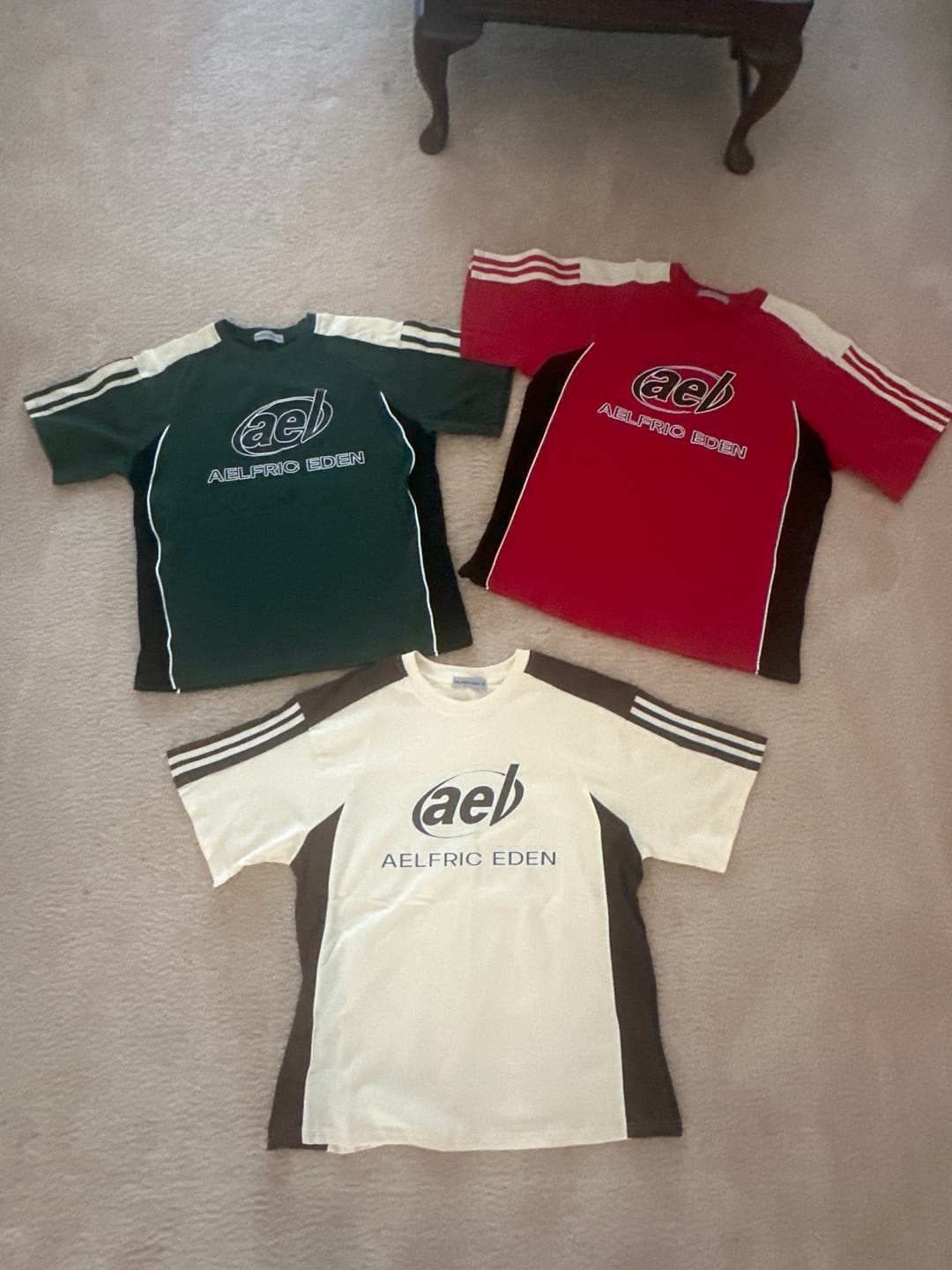 Customer photo review of Aelfric Eden Color Block Speedway Tee