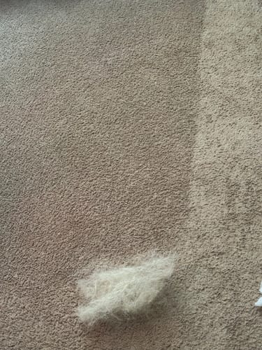 Customer photo review of IndigoPet Hair Removal Broom