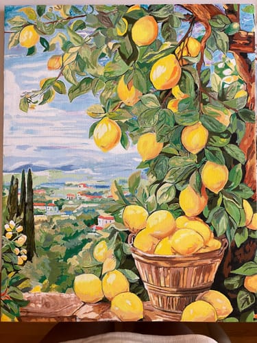 Customer photo review of Bounty Lemons