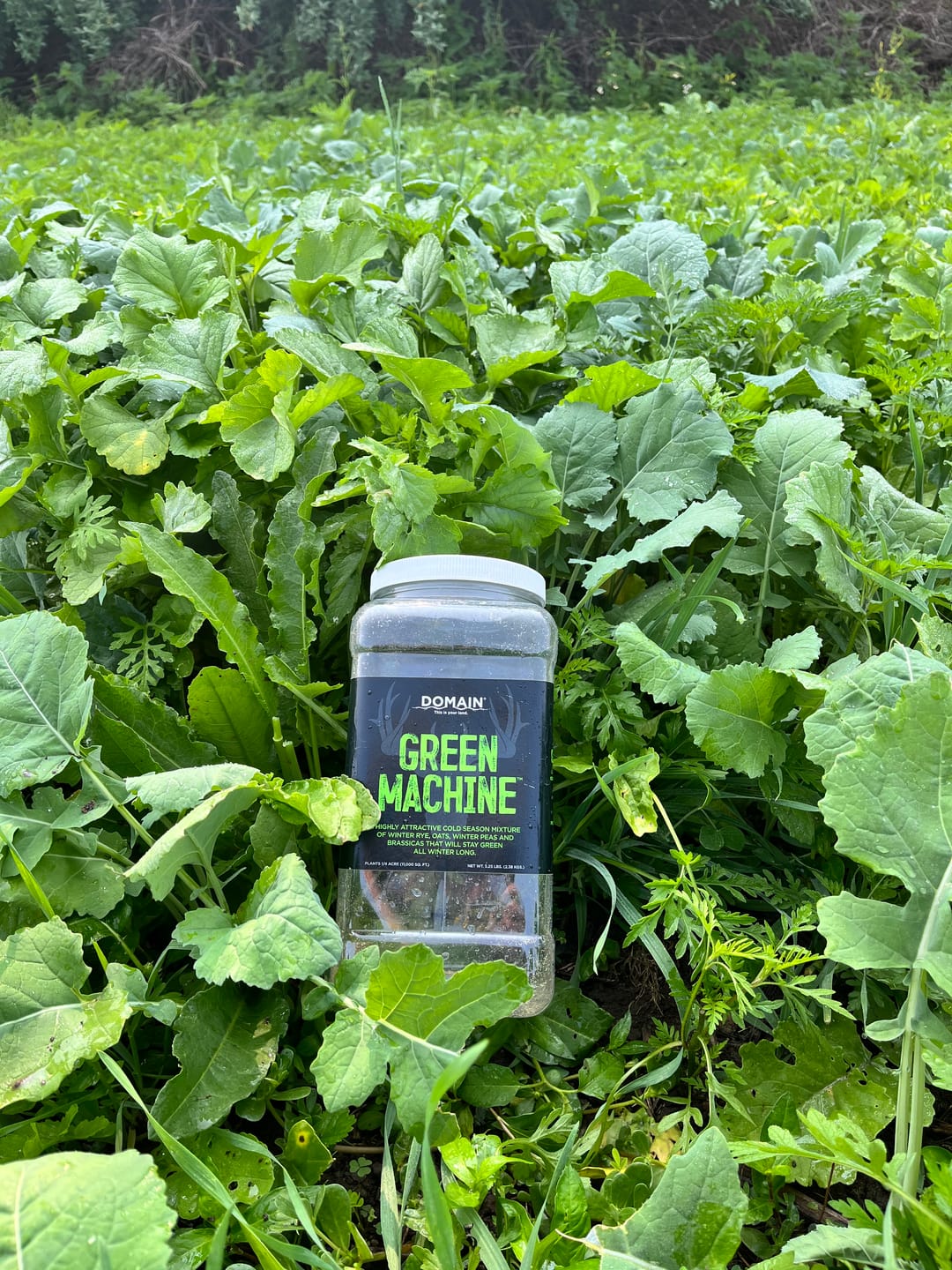 Customer photo review of Green Machine™
