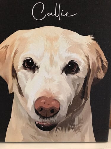 Customer photo review of Pet Art Canvas Wrap