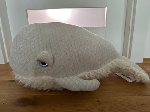 Customer photo review of The Bubble Whale