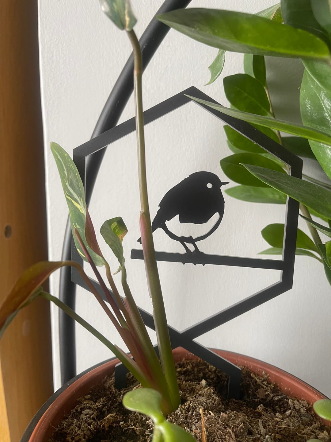 Customer photo review of Robin Plant Trellis