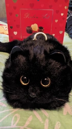 Customer photo review of Handmade Cat Plush Handbag
