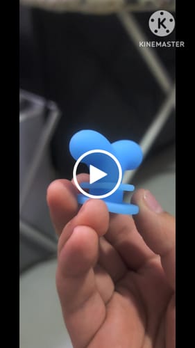 Customer video review of Ballena