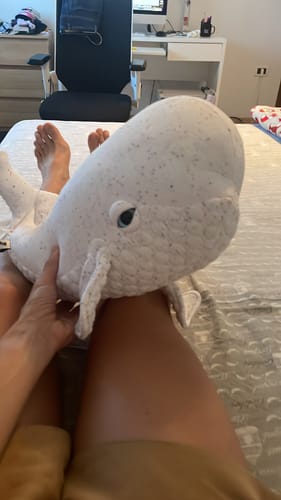 Customer photo review of The Beluga