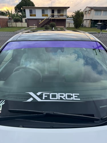 Customer photo review of Plain Car Banner