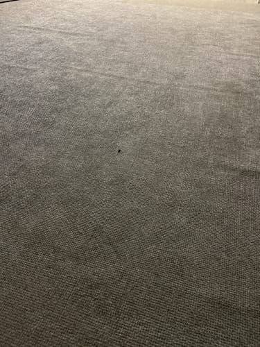 Customer photo review of Padstow Silver Flatweave Washable Rug