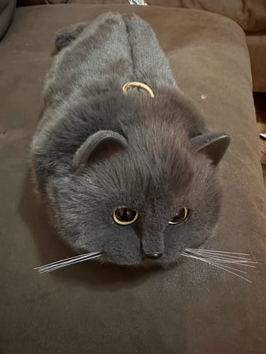 Customer photo review of Handmade Cat Plush Handbag