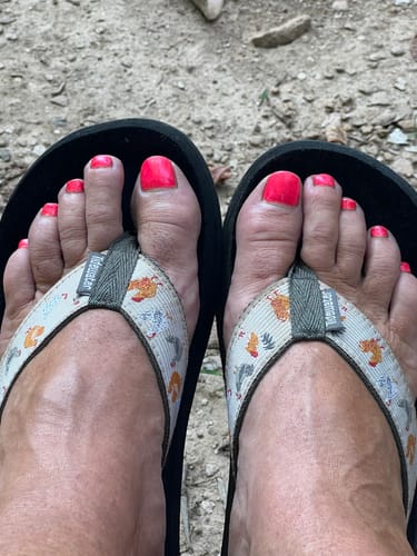 Customer photo review of Chicken Yard