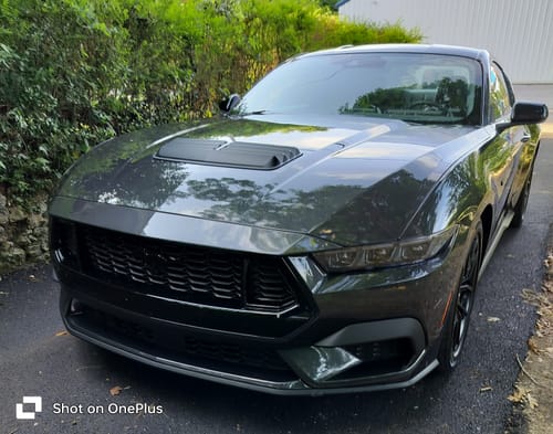 Customer photo review of Fits 2024-Up Ford Mustang EcoBoost Gloss Black Front Grille