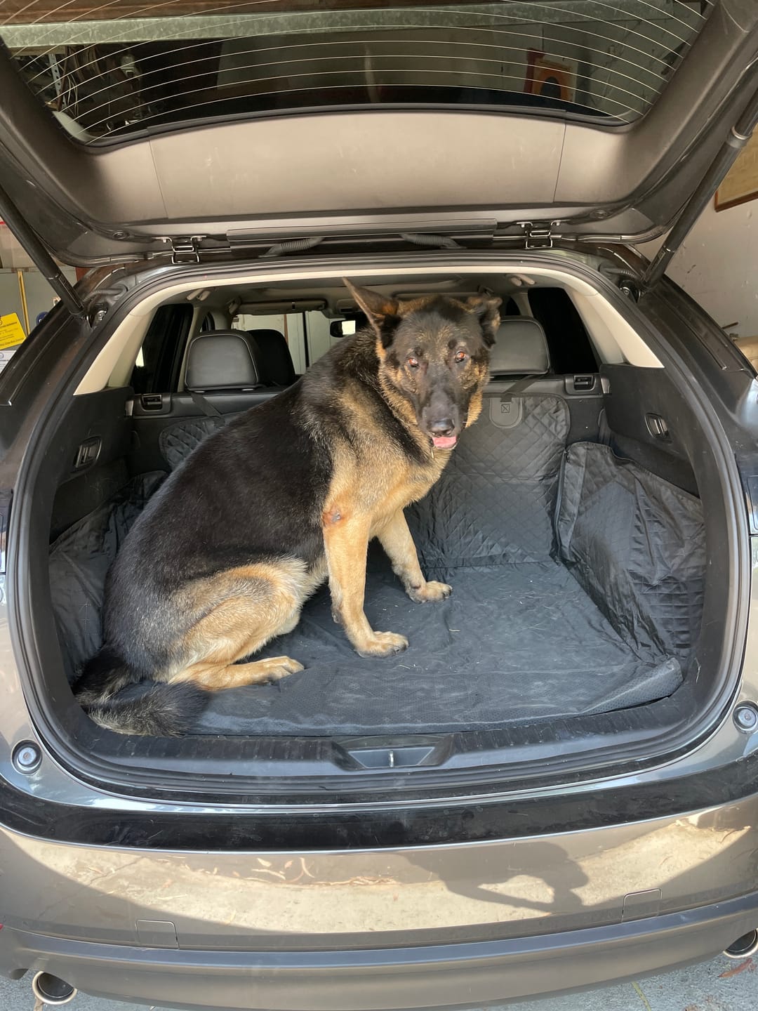 Customer photo review of Waterproof Cargo Area Cover