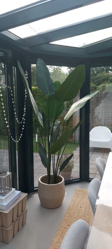 Customer photo review of Strelitzia Kunstplant 210cm