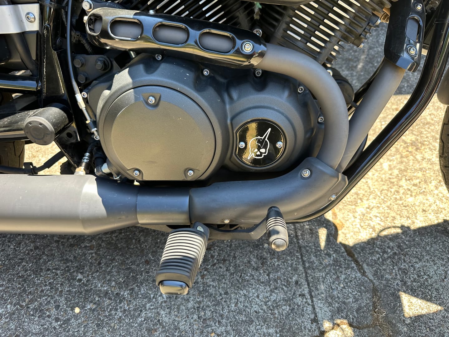Customer photo review of THM logo engine cover
