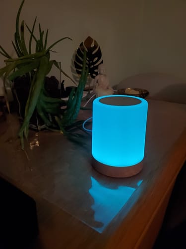 Customer photo review of Friendship Lamp