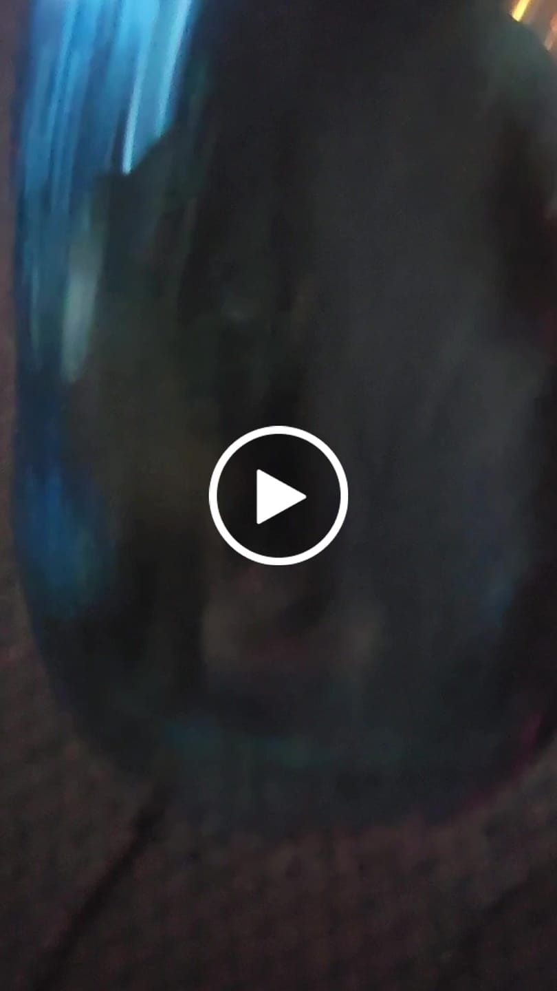 Customer video review of THCa Indoor Smalls