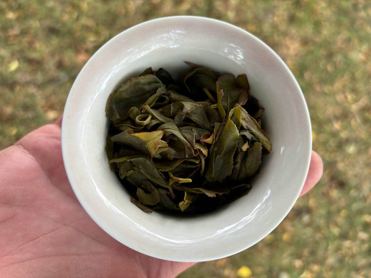 Customer photo review of Miyazaki High Mountain Oolong Tea