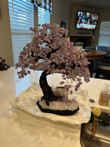 Customer photo review of 20" Tall Amethyst Gemstone Tree on an Amethyst base, 540 gems #5406AM-035