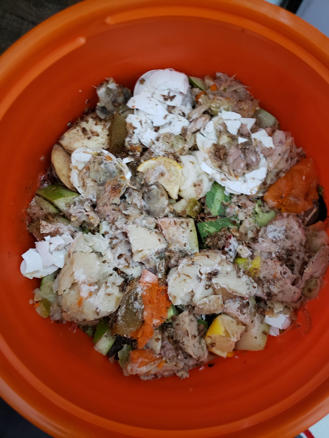 Customer photo review of BierKashi Bokashi 5 to 50 lbs
