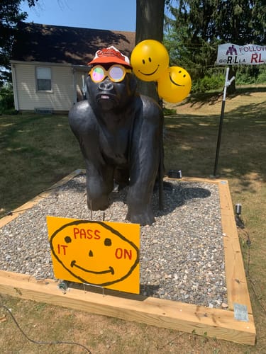 Customer photo review of Smiley DuraBalloon®