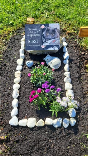 Customer photo review of Katzen Gedenktafel mit Foto & Spruch (UV- & Wetterfest)