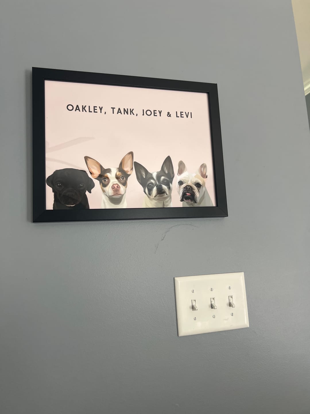 Customer photo review of Custom Four Pet Portrait