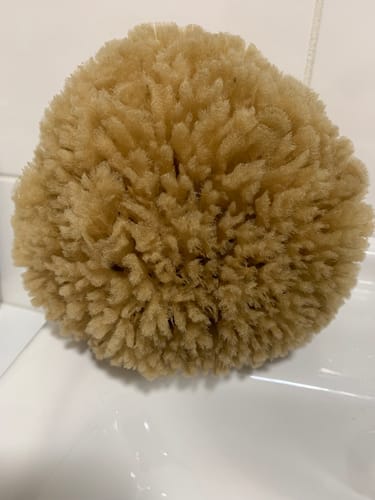 Customer photo review of Bath & Shower Natural Sea Sponges