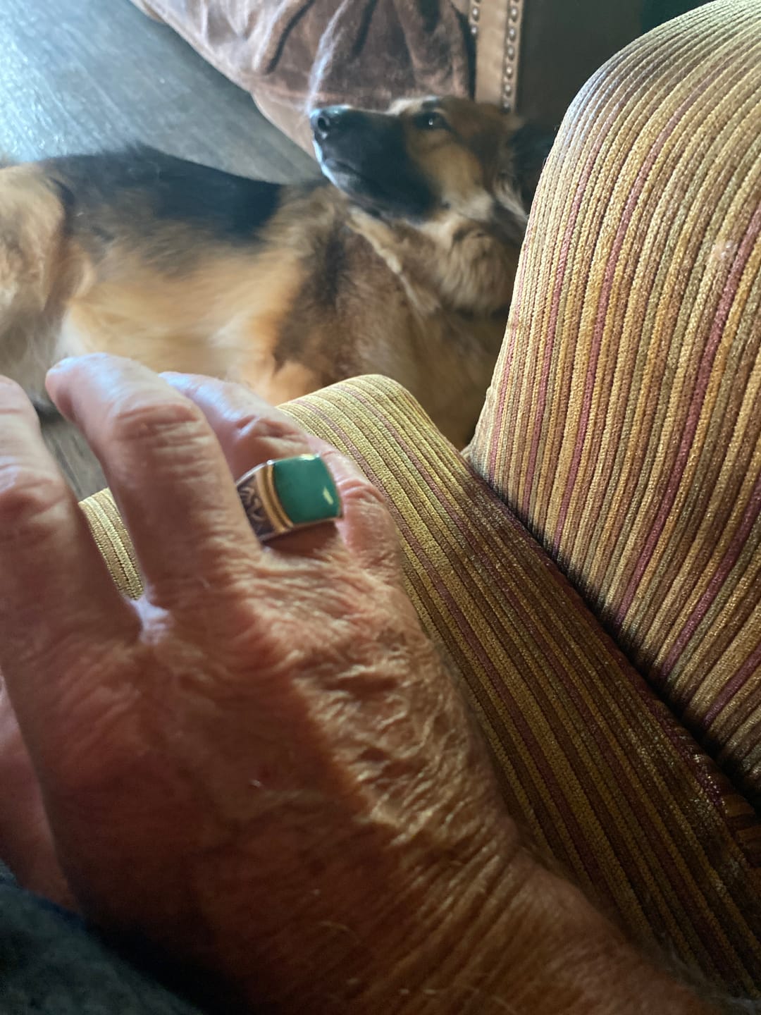 Customer photo review of Eagle Turquoise Ring for Men Sterling Silver
