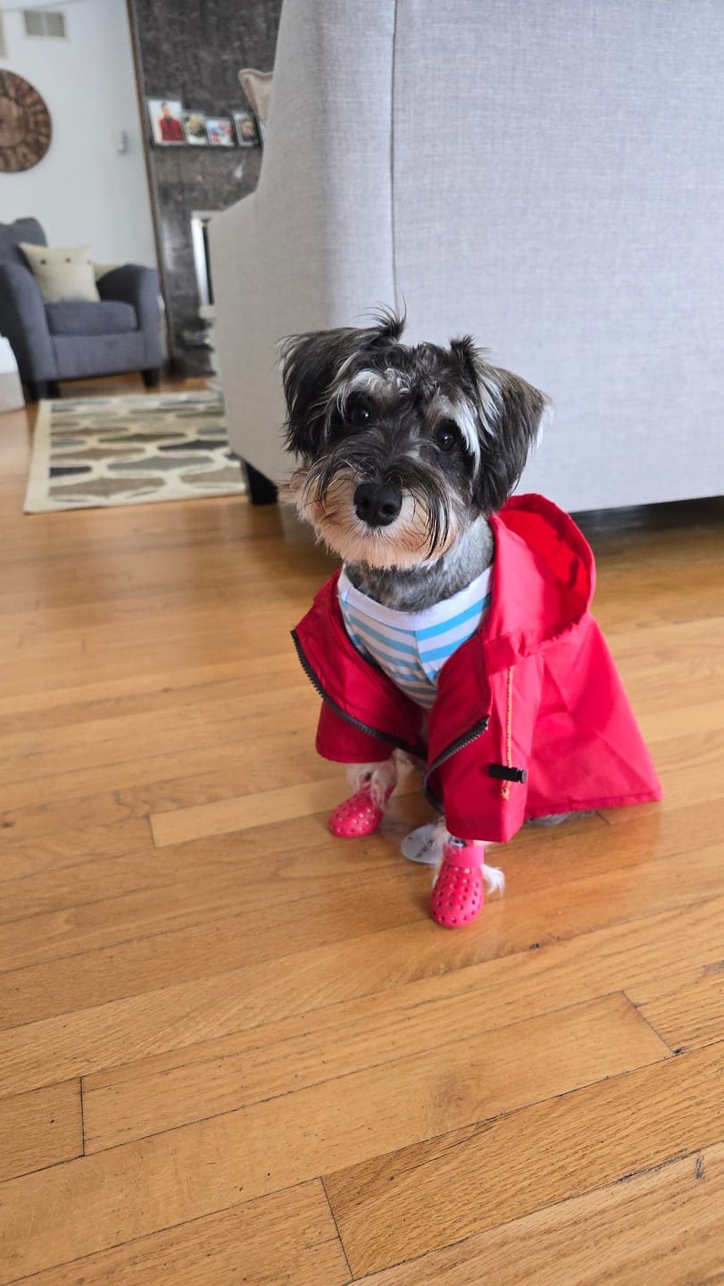 Customer photo review of Nylon Rainbreaker