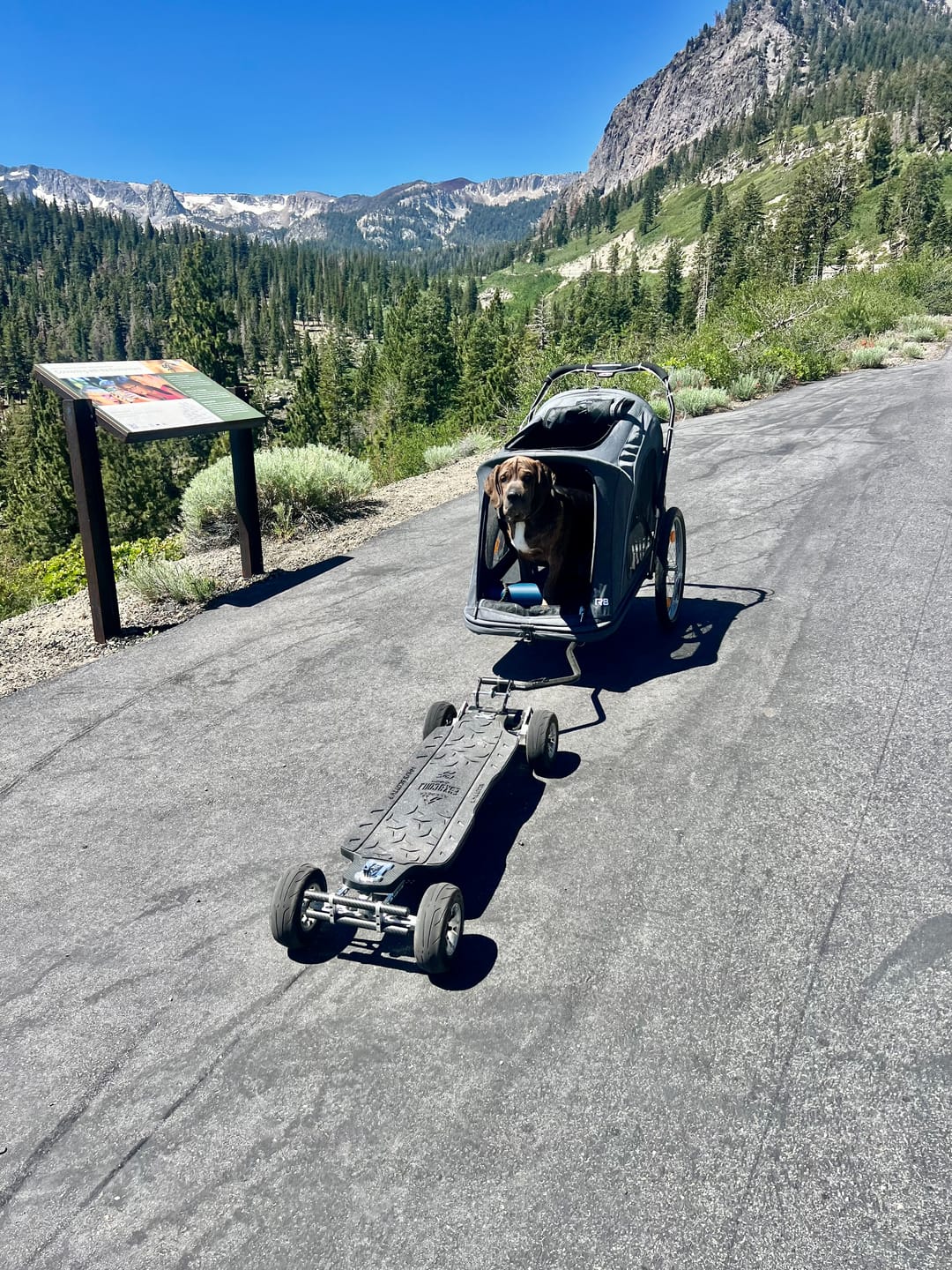 Customer photo review of Acedeck® Nomad N3 Electric Skateboard