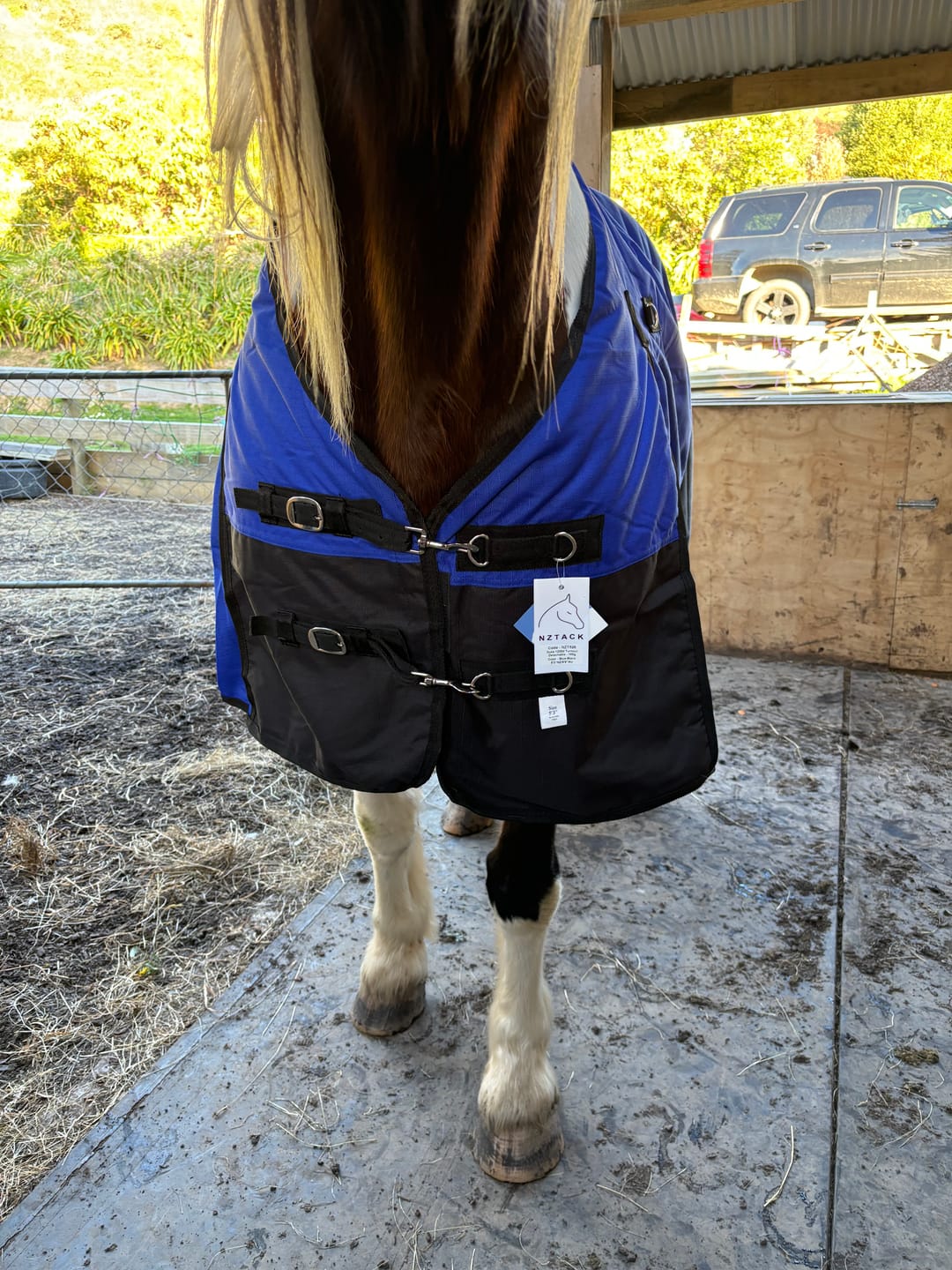 Customer photo review of Duke 1200d Detacha-neck