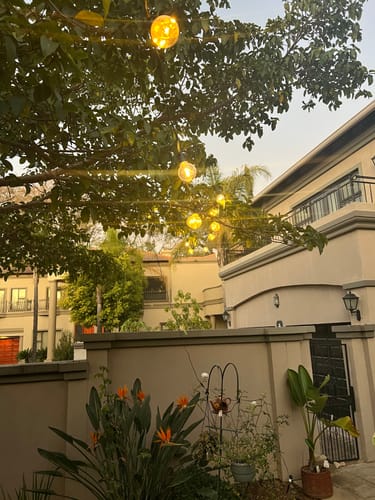 Customer photo review of Litehouse USB Mini Bulb String Lights - Classic LED Bulbs, Black