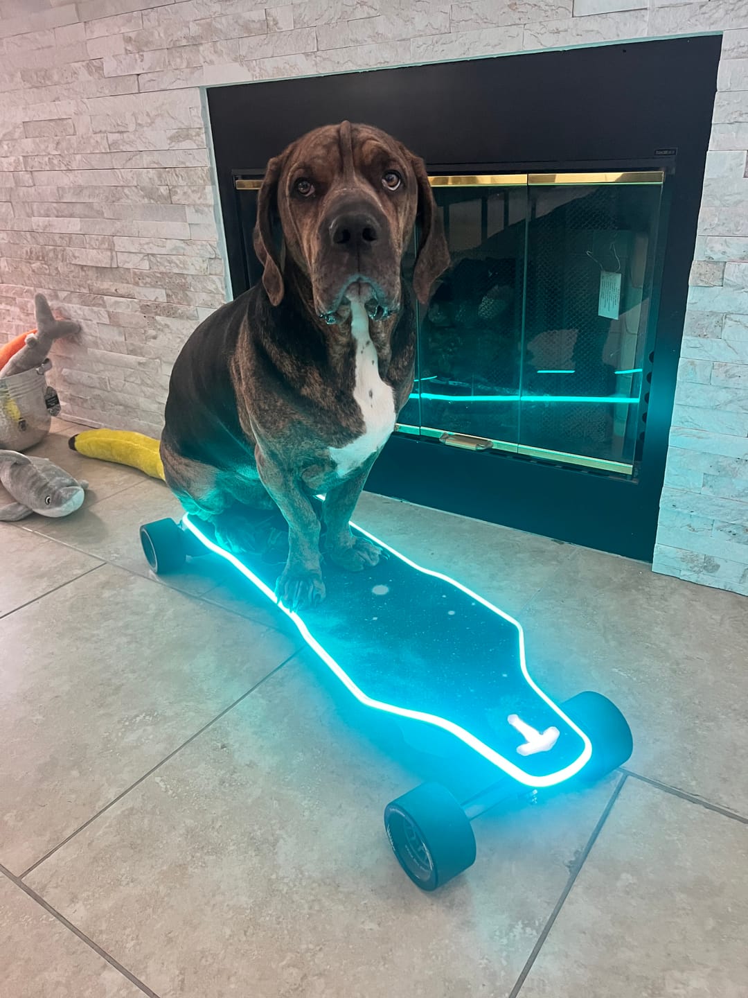 Customer photo review of Backfire Zealot X2 Gear Drive Electric Skateboard with Major V3 Remote