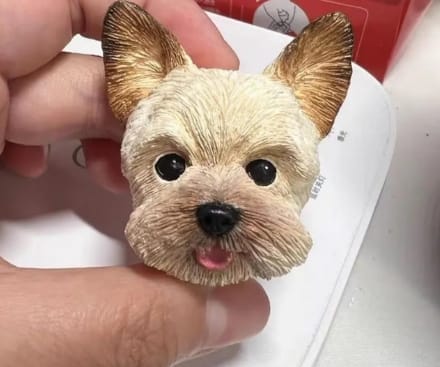 Customer photo review of Personalized Custom Pet Keychain/Magnet