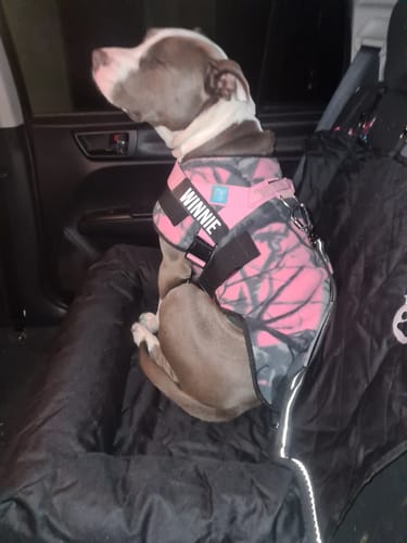 Customer photo review of Car Seat Cover
