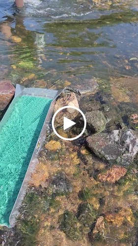 Customer video review of 10X38 Compact Combo Sluice Box